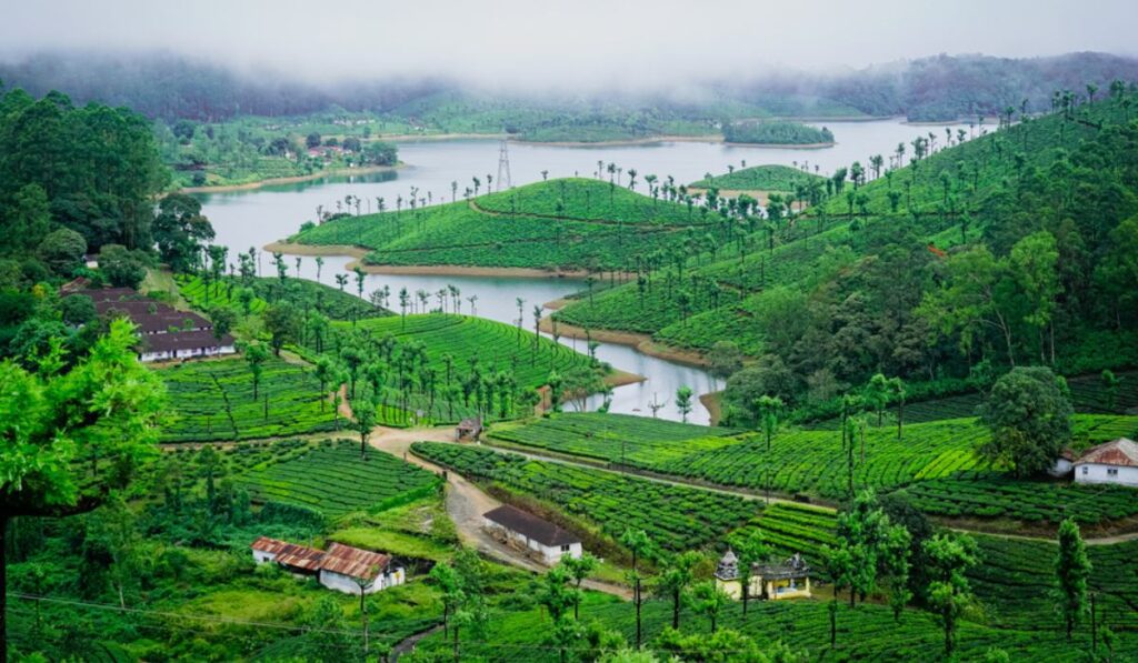 Valparai makes the journey beautiful